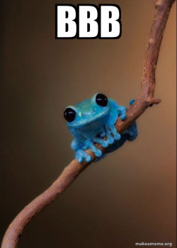Small Fact Frog