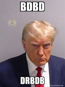Donald Trump Mugshot