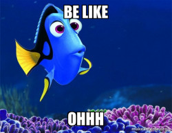 Dory from Nemo  (5 second memory)