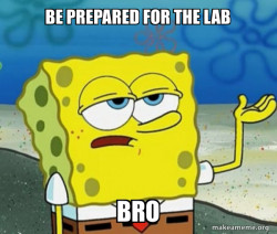 Tough SpongeBob