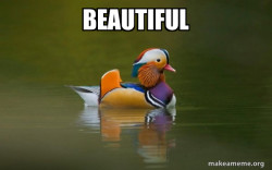 Fashionable Advice Mallard