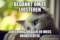 First World Cat Problems