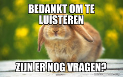 Regretful Rabbit