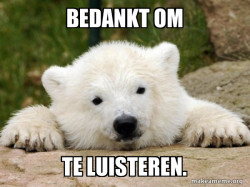 Popular Opinion Bear