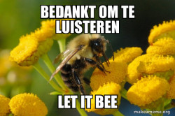 Good Guy Bee