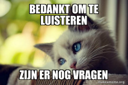 First World Cat Problems