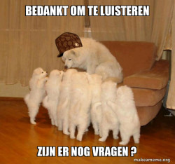 Scumbag Storytelling Dog