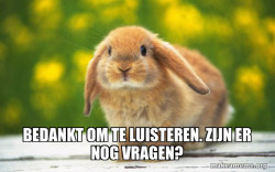 Regretful Rabbit