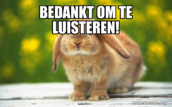 Regretful Rabbit