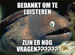 Bad Joke Eel