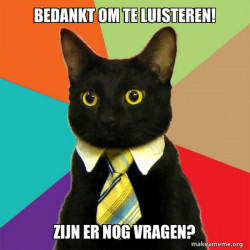 Business Cat