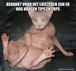 Hairless Cat