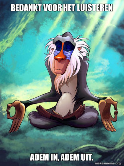 Rafiki Meditating - Lion King