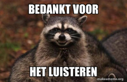 Evil Plotting Raccoon