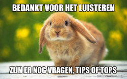 Regretful Rabbit