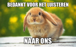 Regretful Rabbit