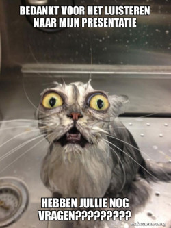 Cat bath