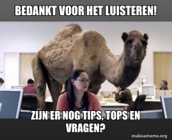 Hump Day Camel