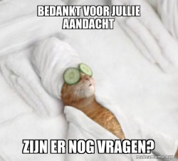 Pampered Cat Meme