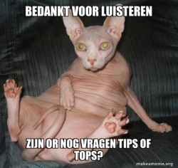 Hairless Cat