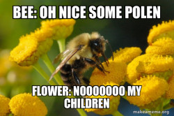 Good Guy Bee