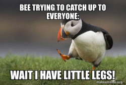 Unpopular Opinion Puffin