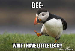 Unpopular Opinion Puffin