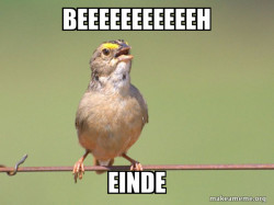 Common Opinion Sparrow