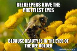 Good Guy Bee