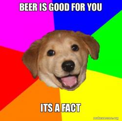 Advice Dog