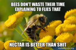 Good Guy Bee
