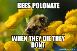 Good Guy Bee
