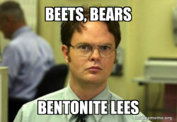 Schrute Facts (Dwight Schrute from The Office)