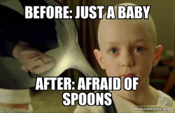 The Little Albert Study