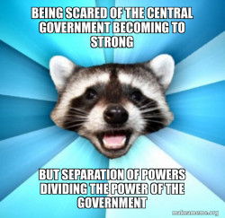 Lame Pun Coon