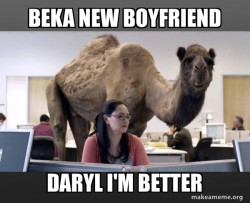 Hump Day Camel