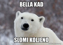 Popular Opinion Polar Bear