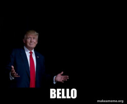 Trump Everything is FIne