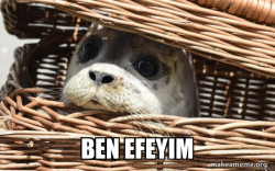 Impending Doom Seal