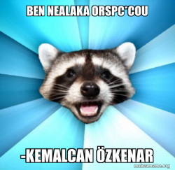 Lame Pun Coon