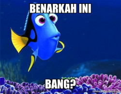 Dory from Nemo  (5 second memory)