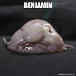 Blobfish