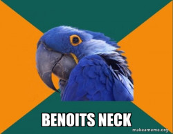 Paranoid Parrot