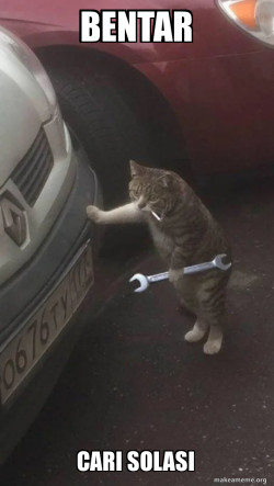 Mechanic Cat