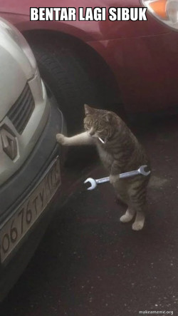 Mechanic Cat