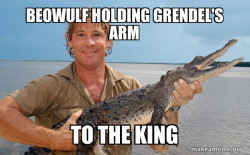 Steve irwin
