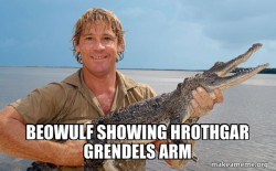 Steve irwin