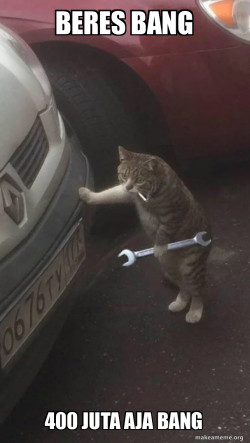 Mechanic Cat