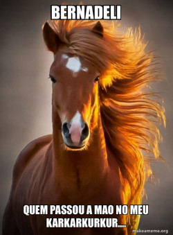 Ridiculously photogenic horse