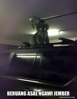 Drop Bear